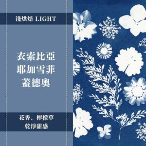 衣索比亞。耶加雪菲。蓋德奧。水洗