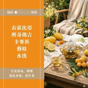 衣索比亞。班奇馬吉。藝伎。卡麥祈。水洗