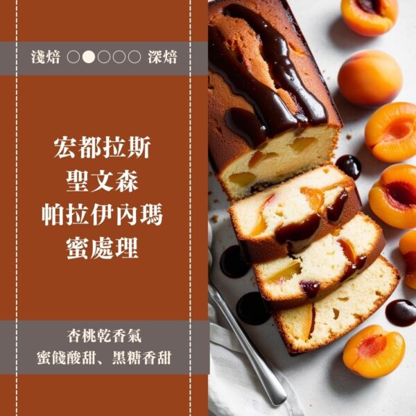 宏都拉斯。聖文森處理廠。薩卡斯圖梅家族。帕拉伊內瑪。蜜處理