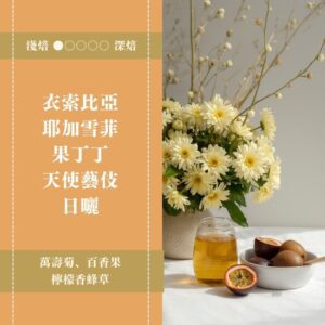 衣索比亞。耶加雪菲。果丁丁。天使藝伎。日曬