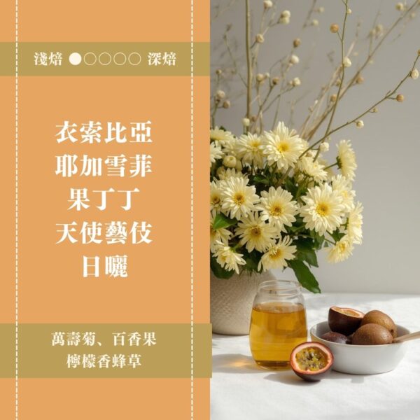 衣索比亞。耶加雪菲。果丁丁。天使藝伎。日曬