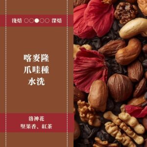 喀麥隆。爪哇種。水洗