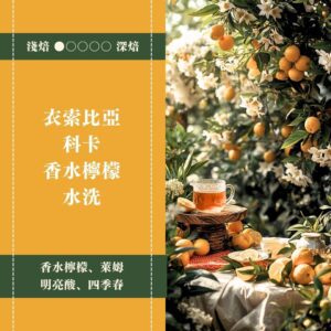 衣索比亞。科卡。香水檸檬。水洗