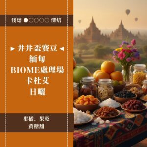 ►井井盃賽豆◄ 緬甸。BIOME處理場。卡杜艾。日曬