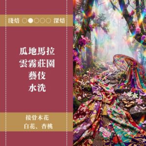 【100g嚐鮮版】瓜地馬拉。雲霧莊園。藝伎。水洗