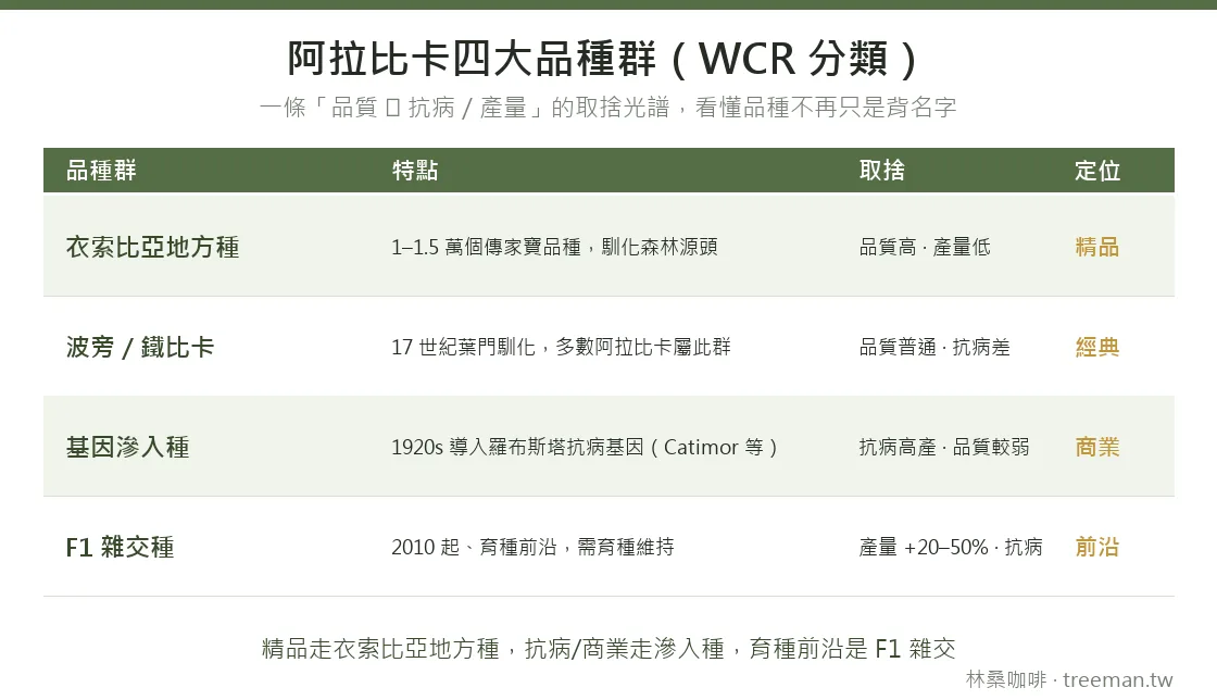 阿拉比卡四大品種群(WCR 分類):衣索比亞地方種、波旁鐵比卡、基因滲入種、F1 雜交種