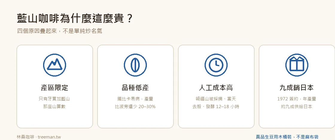 藍山為什麼貴的四個原因
