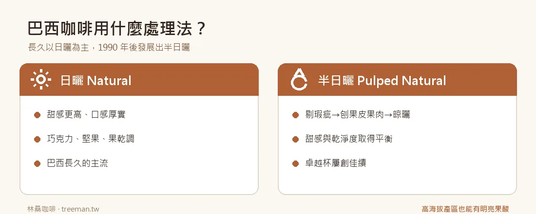 巴西處理法 日曬vs半日曬