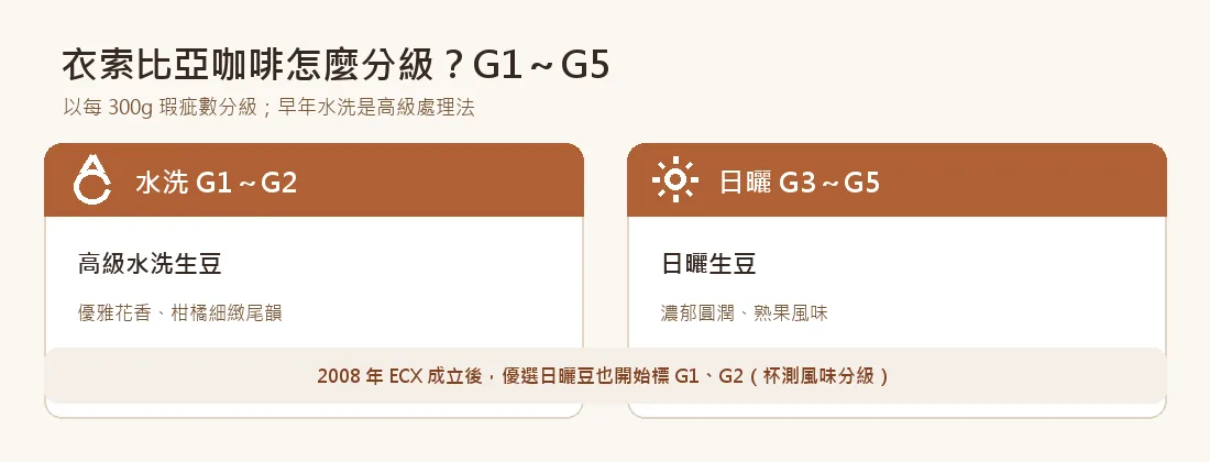 衣索比亞咖啡分級