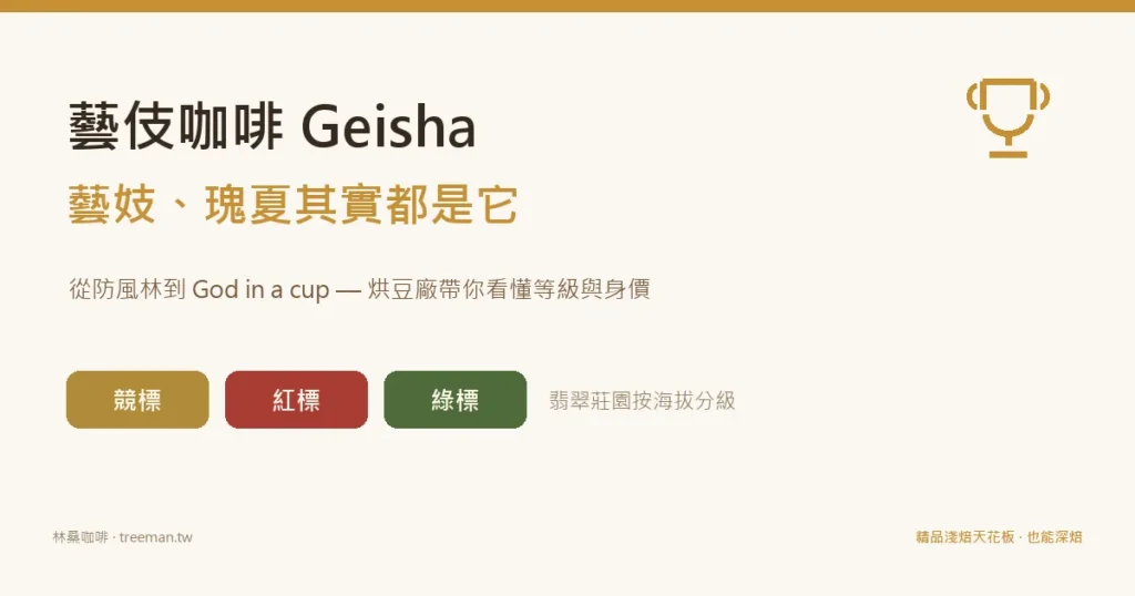 藝伎咖啡Geisha 藝妓瑰夏 翡翠莊園