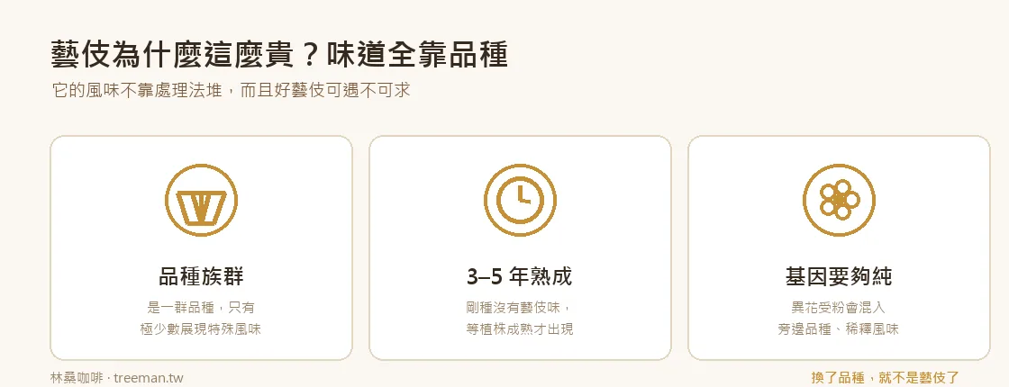 藝伎為什麼這麼貴的三個稀有因素