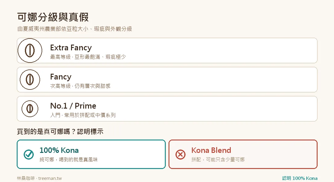 可娜分級與真假