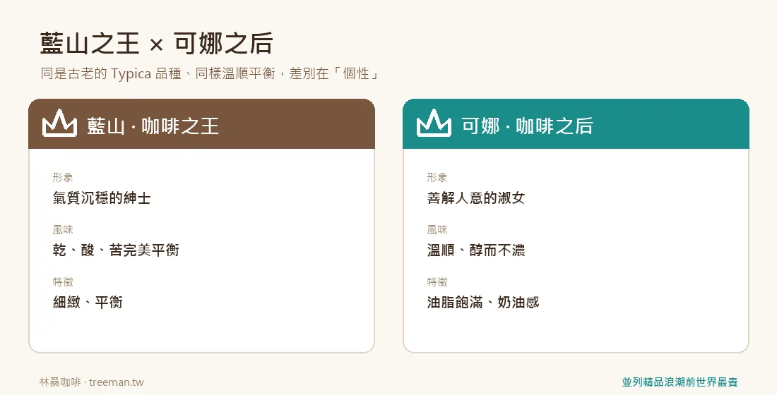 藍山之王與可娜之后對比
