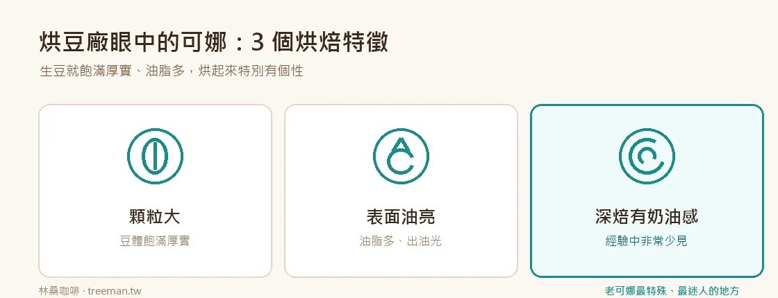可娜三個烘焙特徵