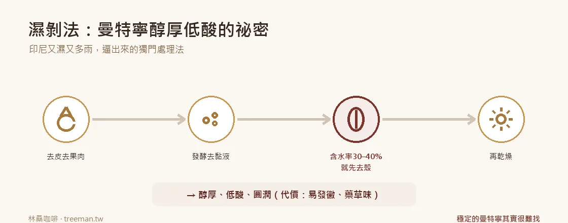 濕剝法流程