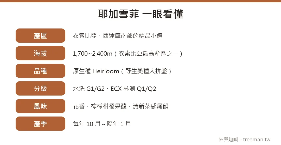 耶加雪菲咖啡速覽:產區、海拔、品種、分級、風味、產季