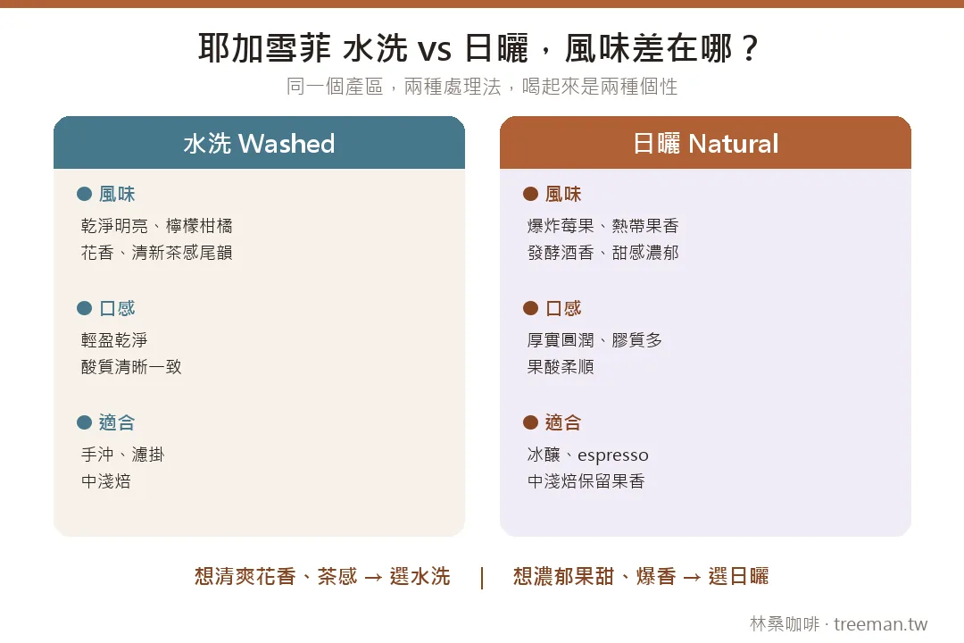 耶加雪菲水洗與日曬處理法的風味、口感與沖煮對比