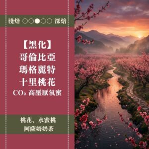 【黑化】哥倫比亞。瑪格麗特。十里桃花。CO₂ 高壓厭氧蜜