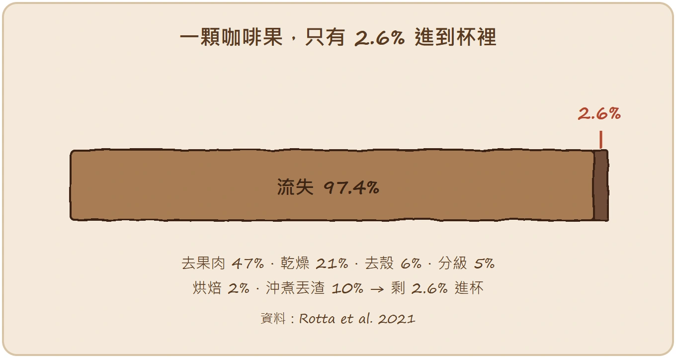 咖啡果到杯只剩2.6%質量流失手繪佔比圖
