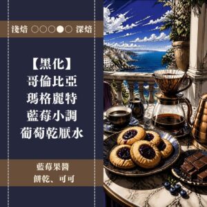 【極簡咖啡包10入】哥倫比亞。瑪格莉特。麝香葡萄。葡萄乾厭氧水洗