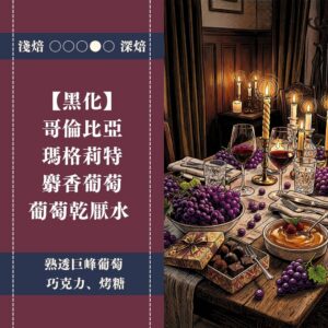 【極簡咖啡包10入】哥倫比亞。瑪格莉特。藍莓小調。葡萄乾厭氧水洗
