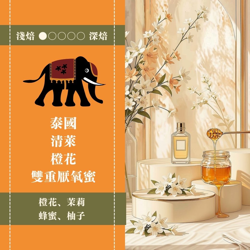 ►100g 體驗豆◄ 泰國。清萊。橙花。雙重厭氧蜜