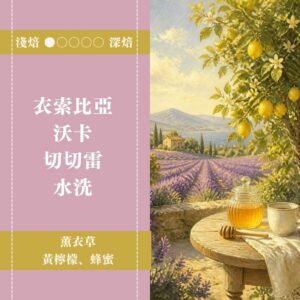 衣索比亞。沃卡。切切雷。水洗